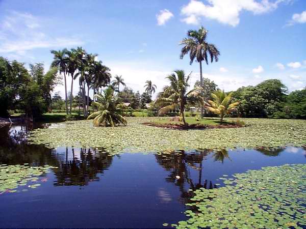 cienaga-de-zapata