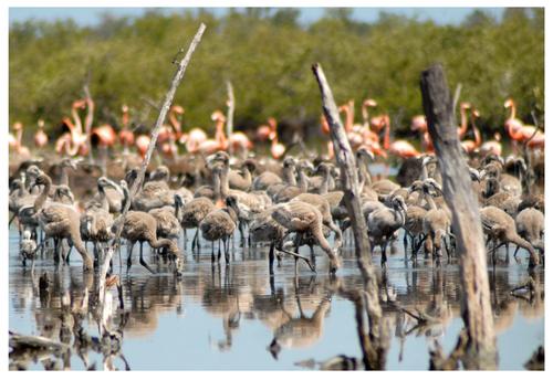 Parque Nacional Caguanes