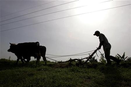 economia cubana