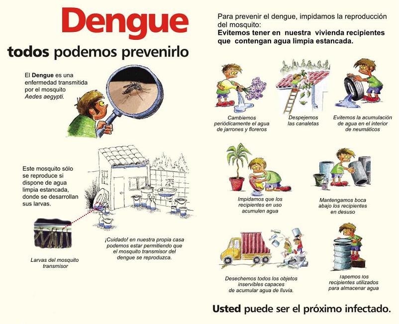 Infografia Dengue