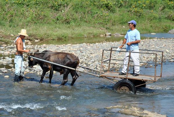 Estampas de la vida en la Sierra Maestra 07