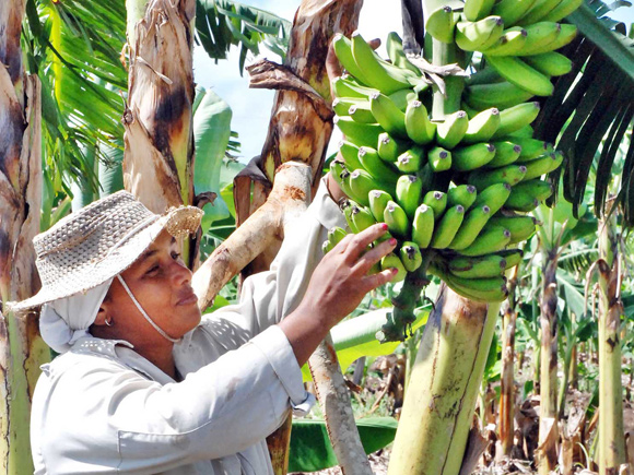 Mujer rural 2