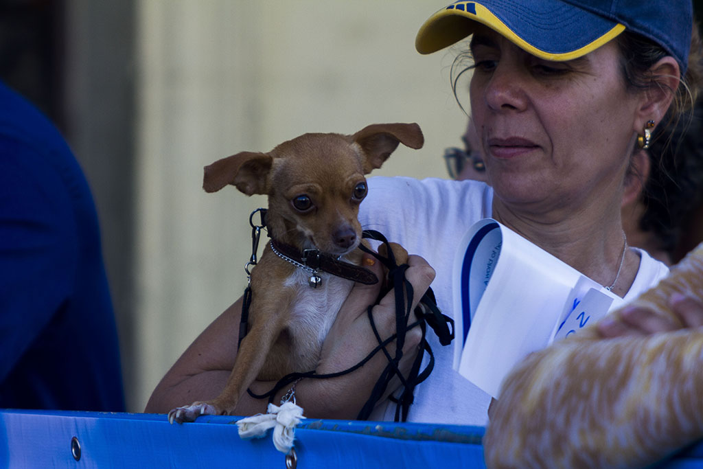 Carrera Terry Fox 07
