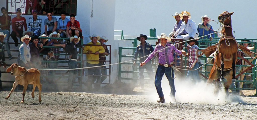 Competencias de rodeo 01