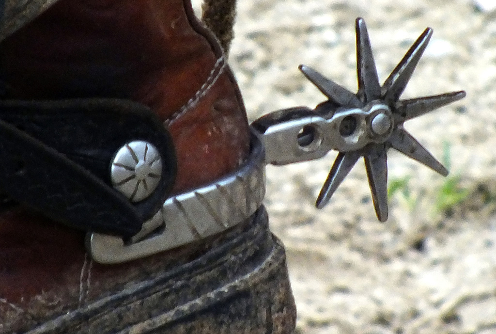 Competencias de rodeo 05