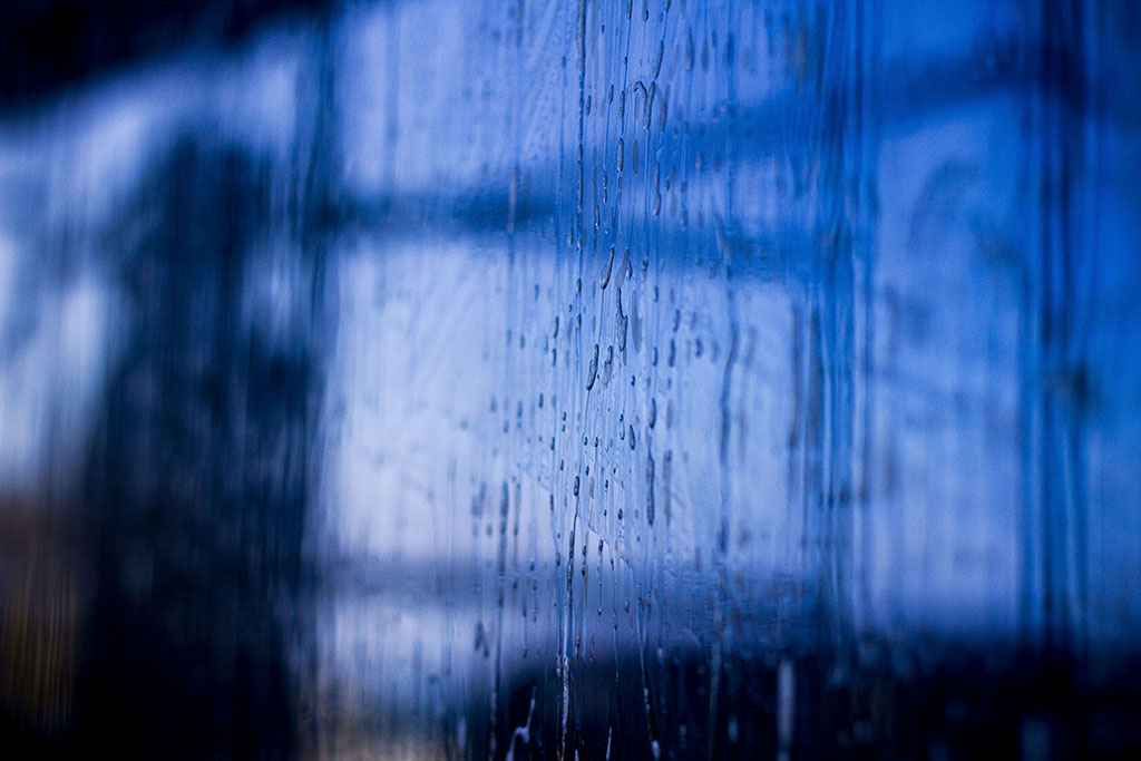 Cooperativa no agropecuaria 12