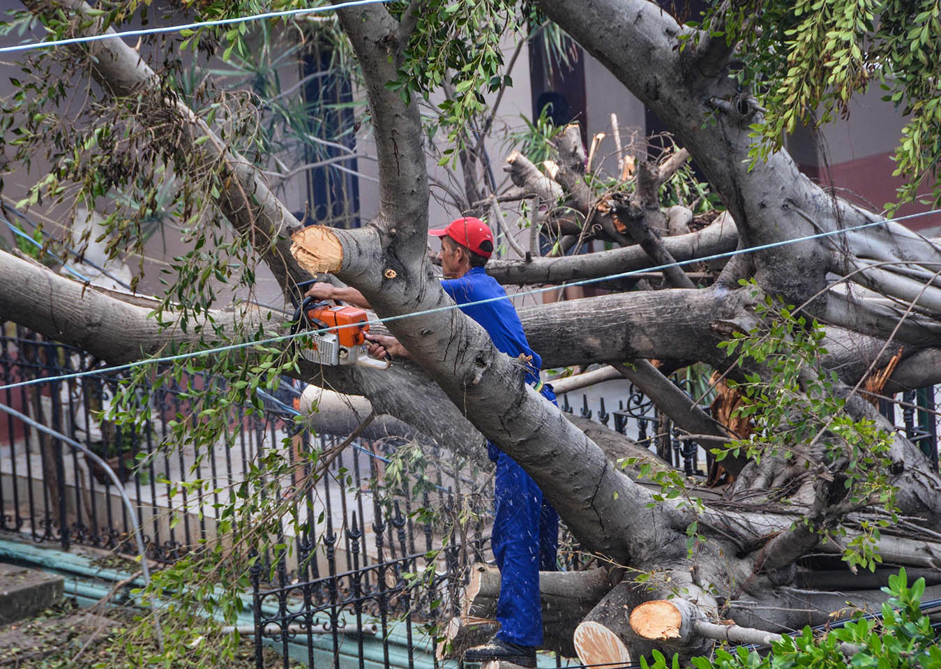 Recuperación tras paso de Irma