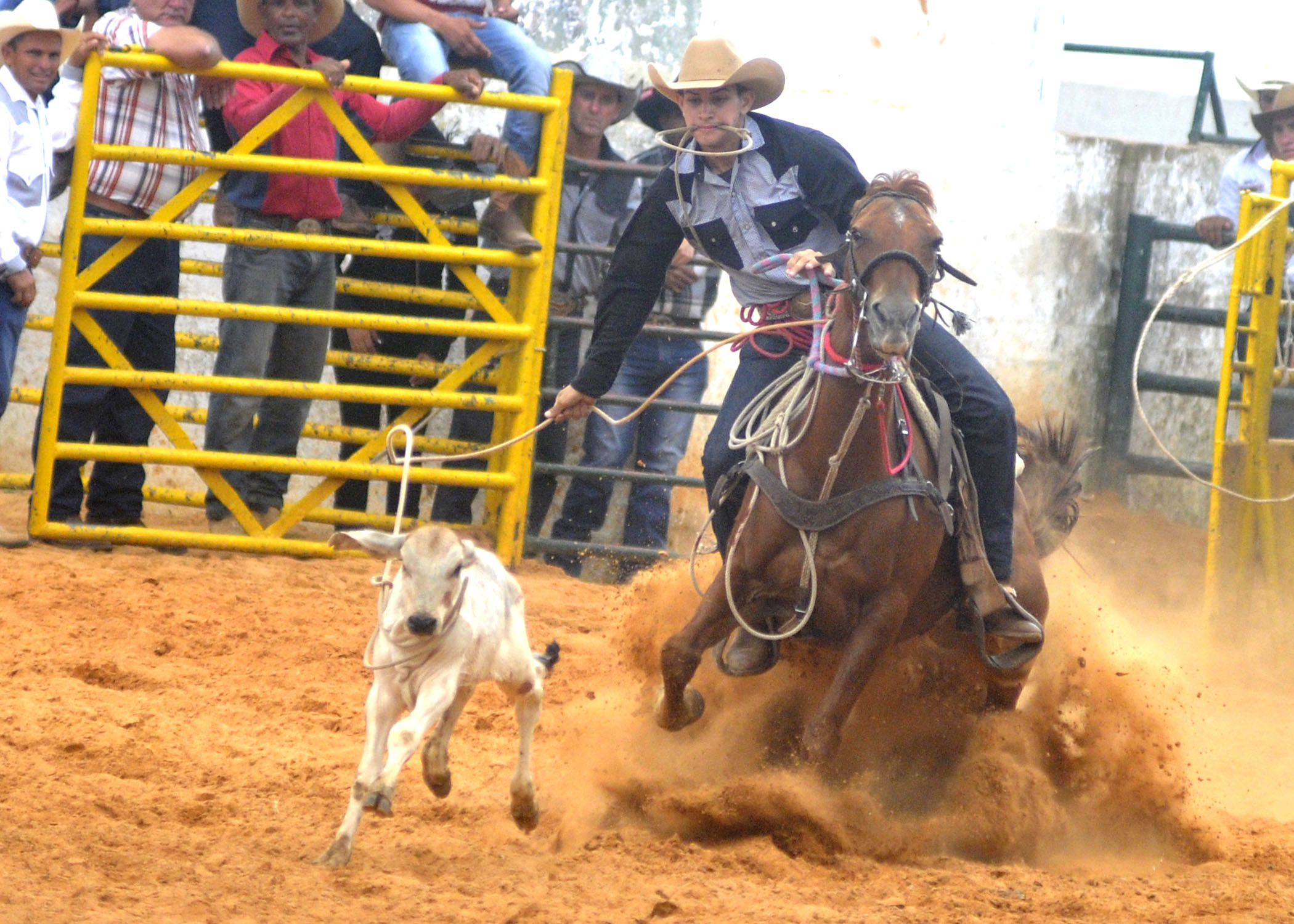 Feria Agropecuaria-La Habana4