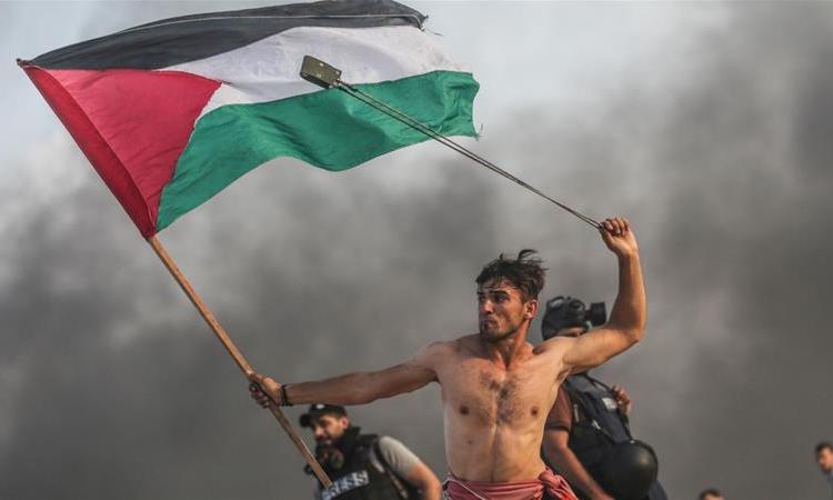 Palestina Lucha