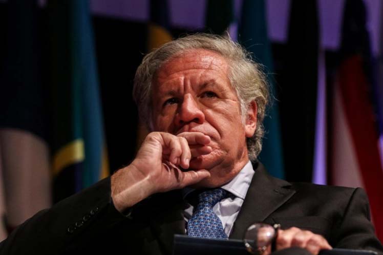 Luis Almagro-Resultado Elecciones-Bolivia