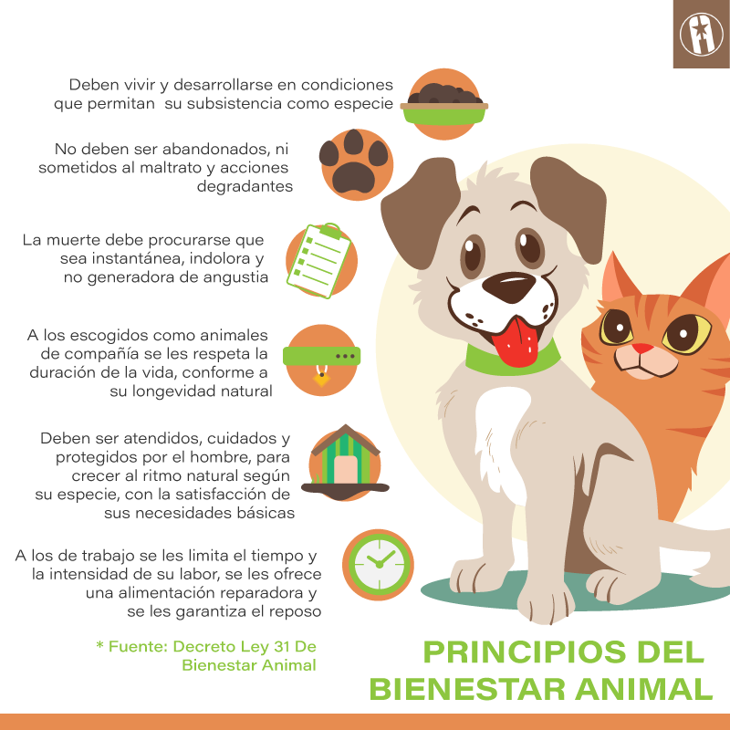 Bienstar Animal Principios