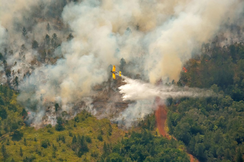 Incendio forestal en Mayarí 