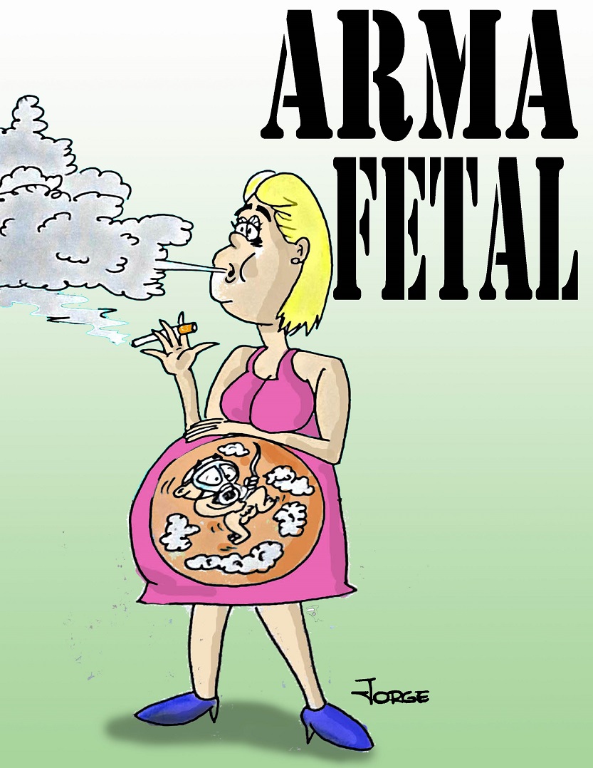 Arma fetal