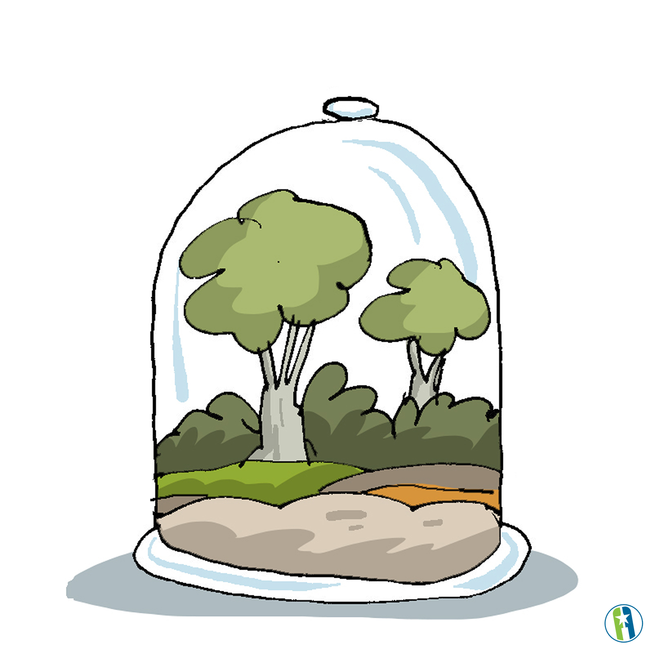 Conservación del medio ambiente