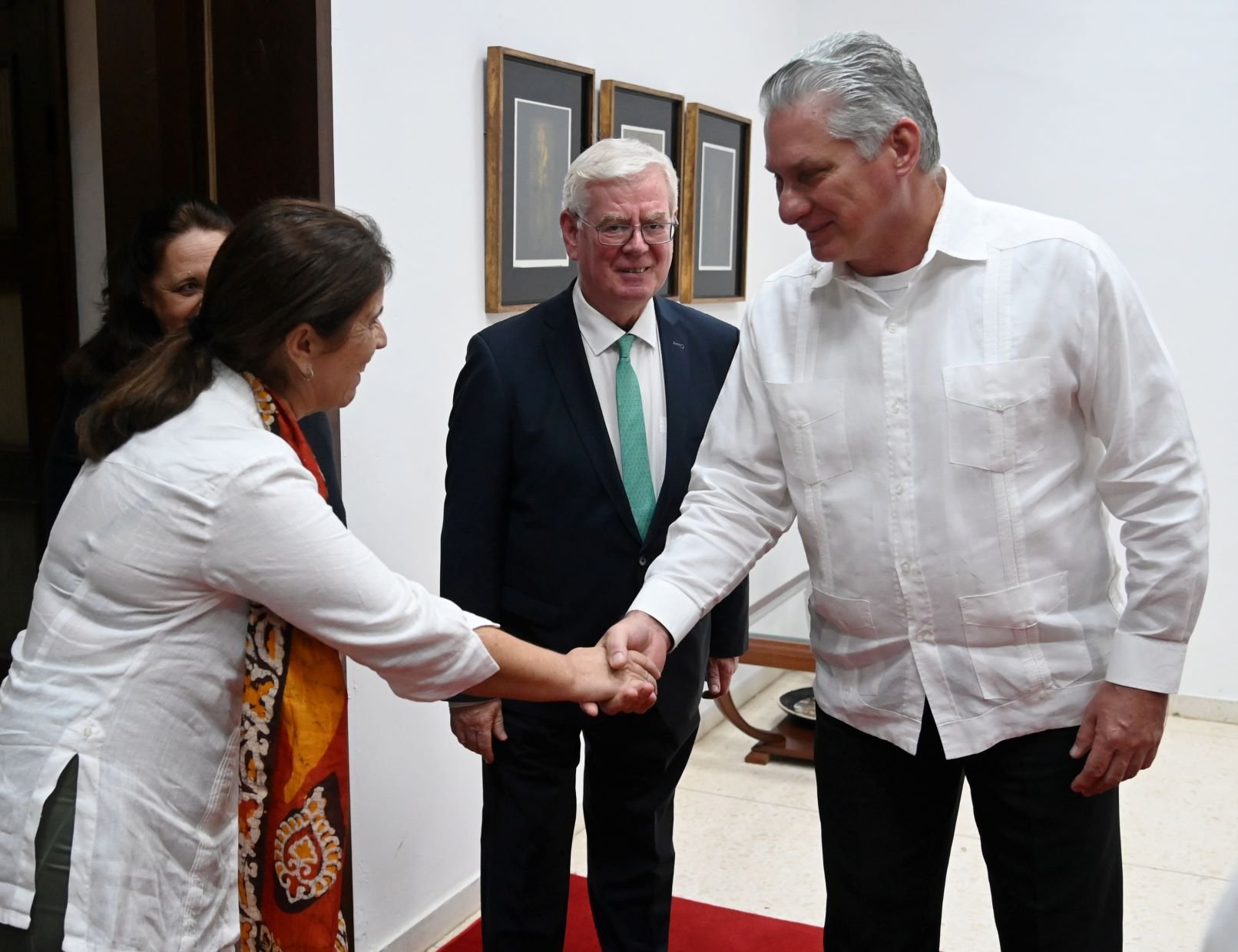 Díaz Canel en encuentro con comisión europea sobre Derechos Humanos 