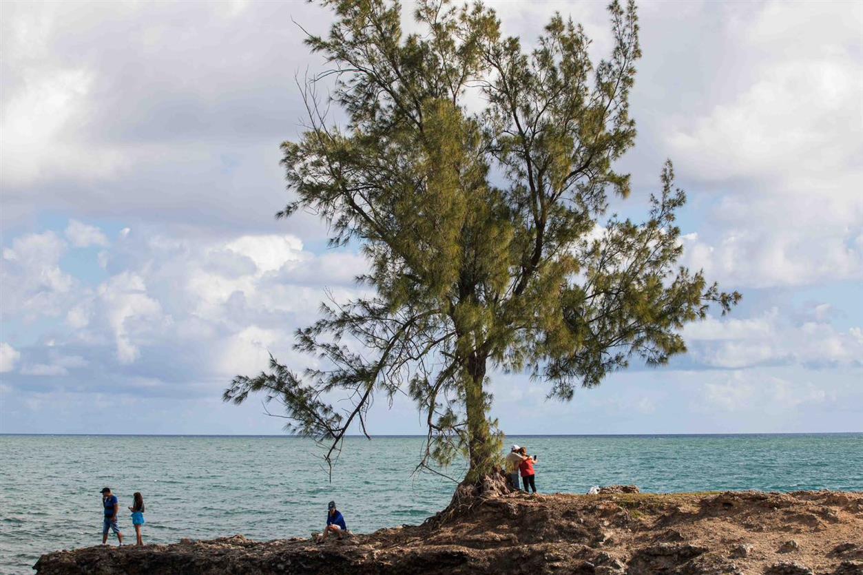 Naturaleza cubana 