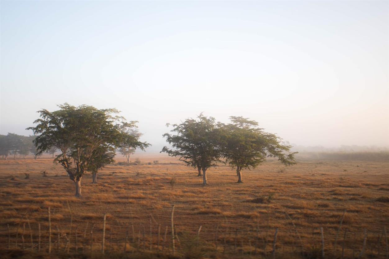 Naturaleza cubana 