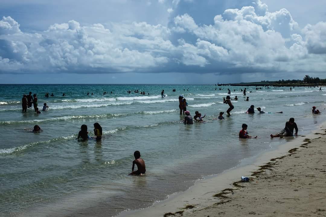 El Tren de la Playa Recesa y Regresará (Naturaleza Secreta de Cuba)