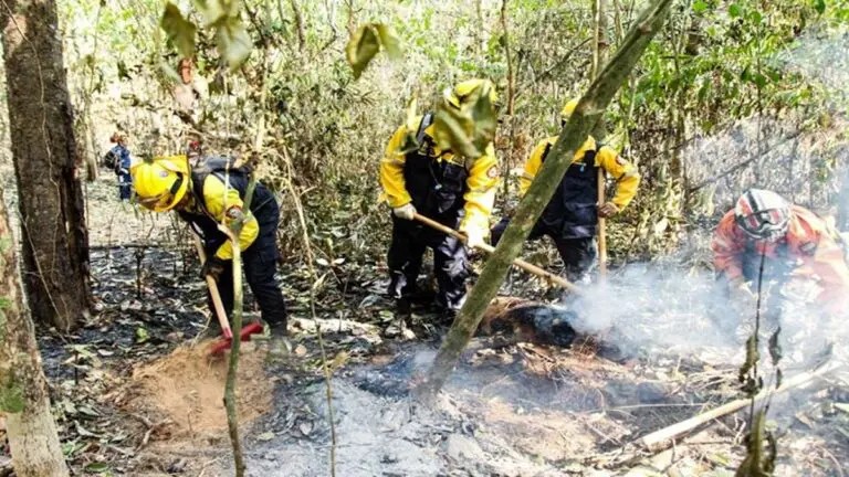 Incendios