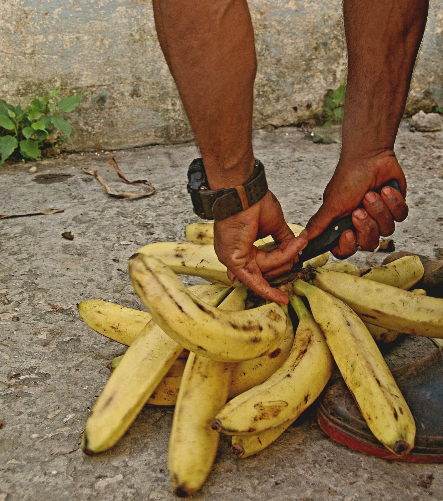 Vendedores ambulantes en La Habana