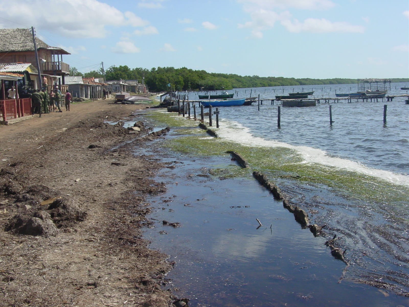 El avance del cambio climático promete intensificar la fuerza de los fenómenos hidrometeorológicos (Naturaleza Secreta de Cuba)