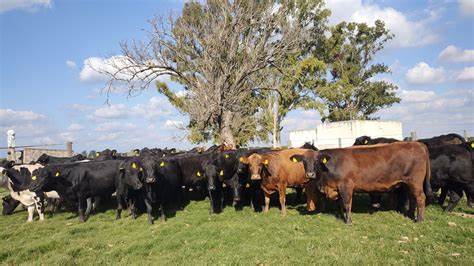 Venezuela Productiva y Sustentable