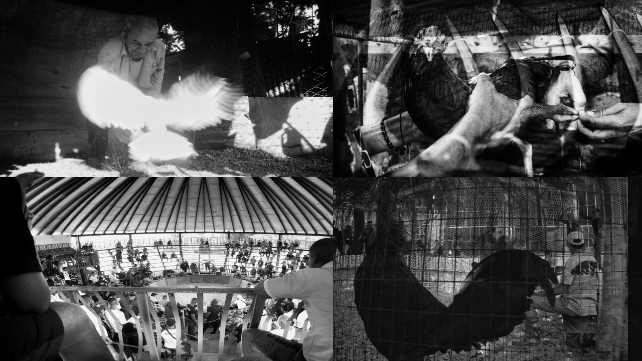 Historias que inspiran: los matanceros del Witness Photoworkshop 2025 Historias que inspiran: los matanceros del Witness Photoworkshop 2025