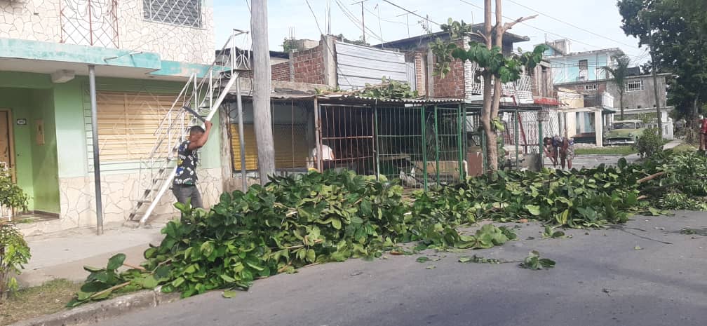 Poda de árboles en Santiago de Cuba ante amenaza del Huracán Melissa Poda de árboles en Santiago de Cuba ante amenaza del Huracán Melissa