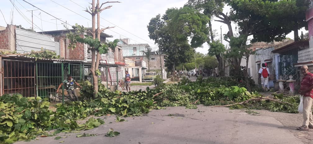 Poda de árboles en Santiago de Cuba ante amenaza del Huracán Melissa Poda de árboles en Santiago de Cuba ante amenaza del Huracán Melissa