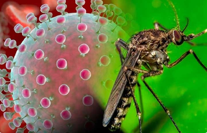 Imagen: Tomada de TV Yumurí Imagen: Tomada de TV Yumurí