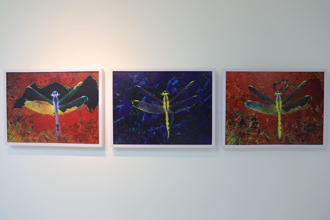 Exposición en el Centro de Prensa Internacional