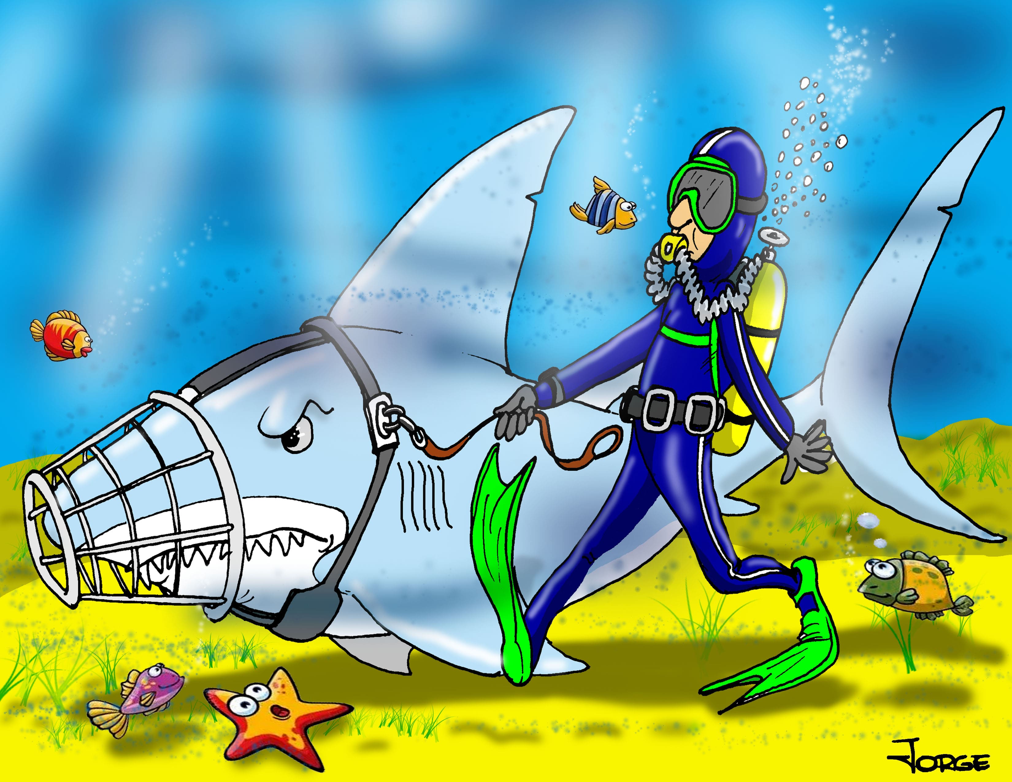 Intimidades Intimidades