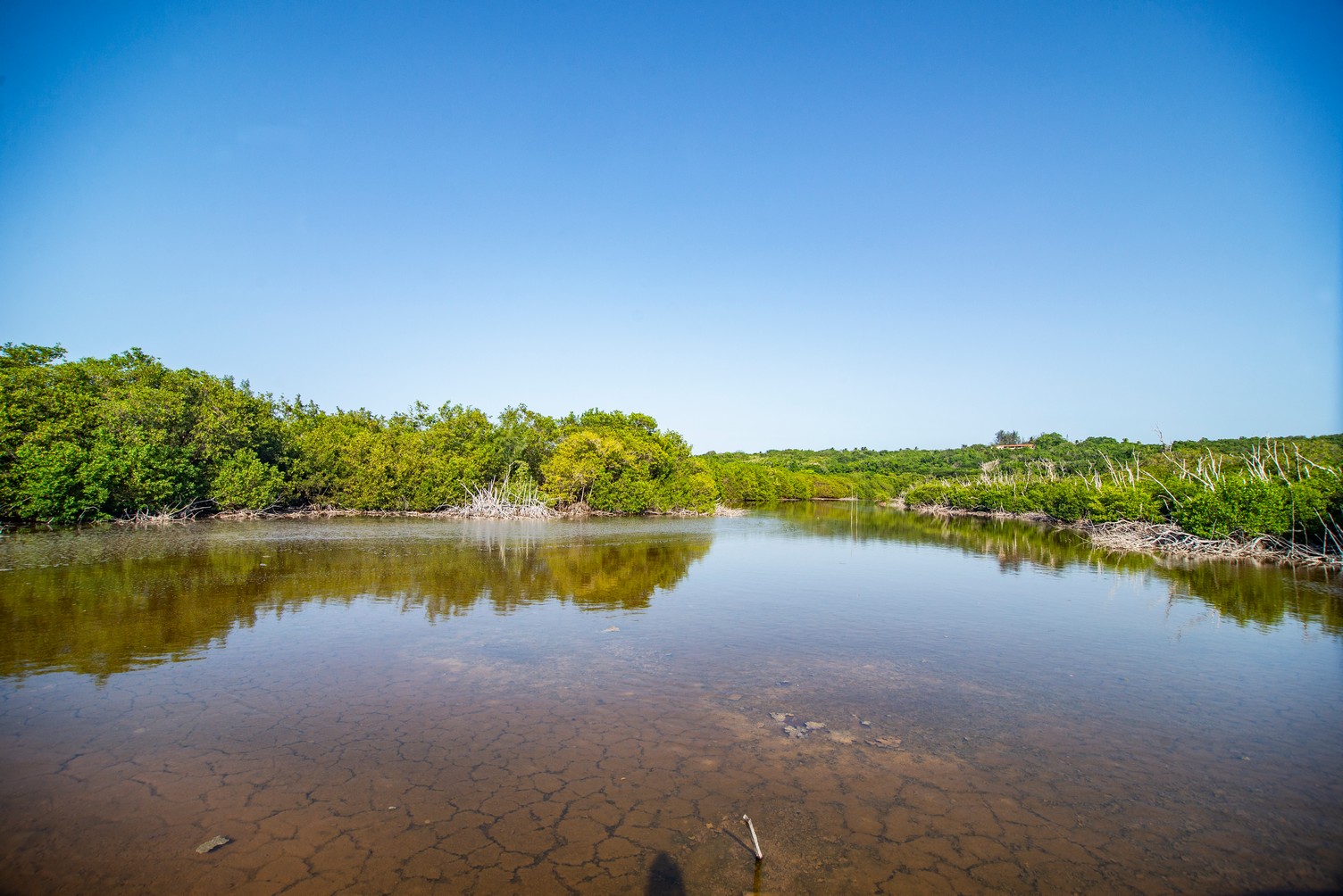 La naturaleza puso su arte en un rincón de La Habana