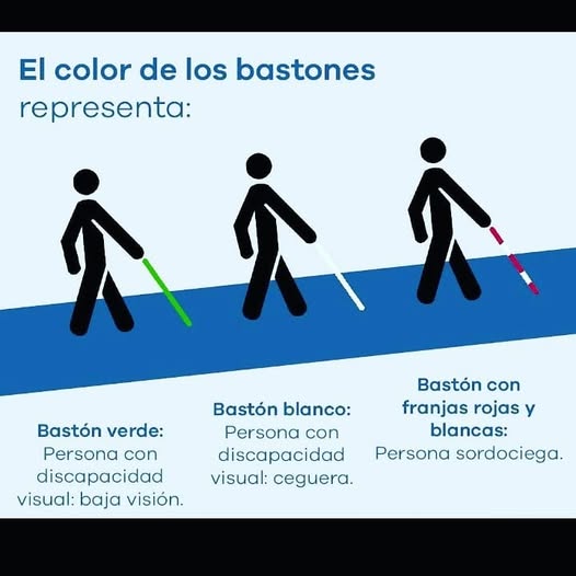 Tipos de bastón